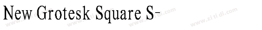 New Grotesk Square S字体转换 New Grotesk Square S字体转换
